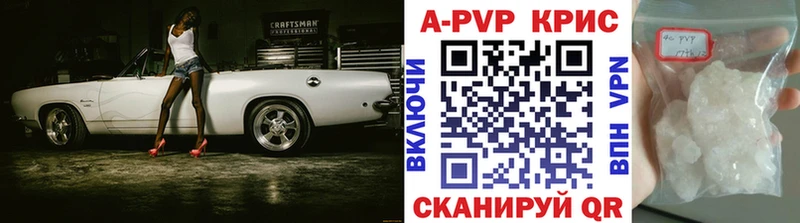 Альфа ПВП СК КРИС  Луга 