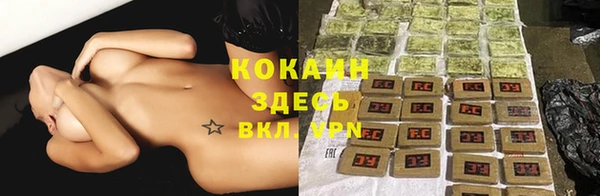 сатива Кукмор