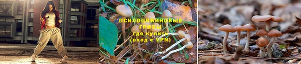 трава Куйбышев