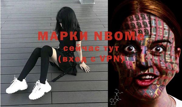 сатива Кукмор