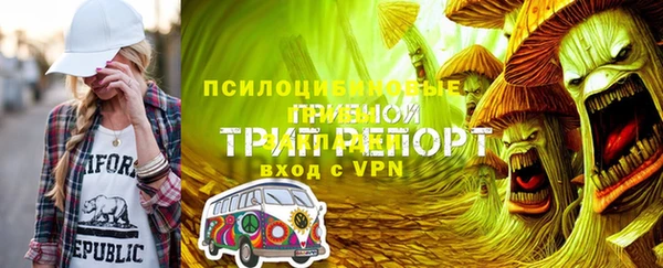 сатива Кукмор