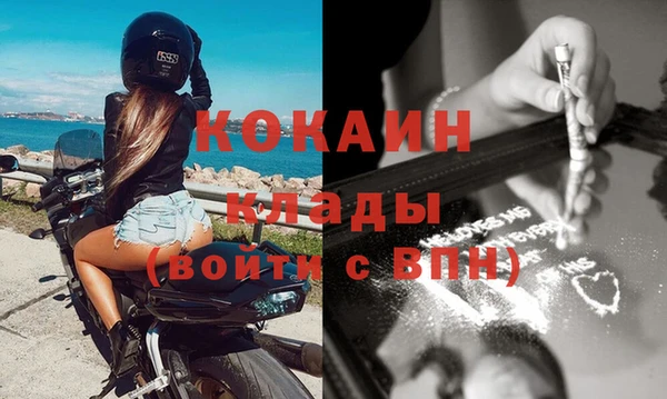 сатива Кукмор