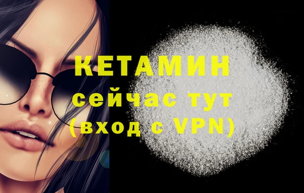 сатива Кукмор