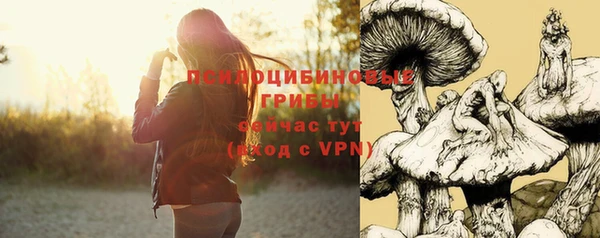 сатива Кукмор
