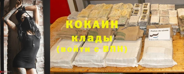 трава Куйбышев