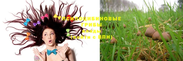 эйфоретик Кулебаки