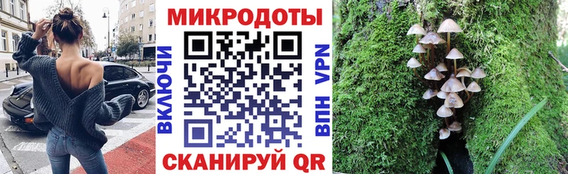 Галлюциногенные грибы мухоморы  цена   Луга 